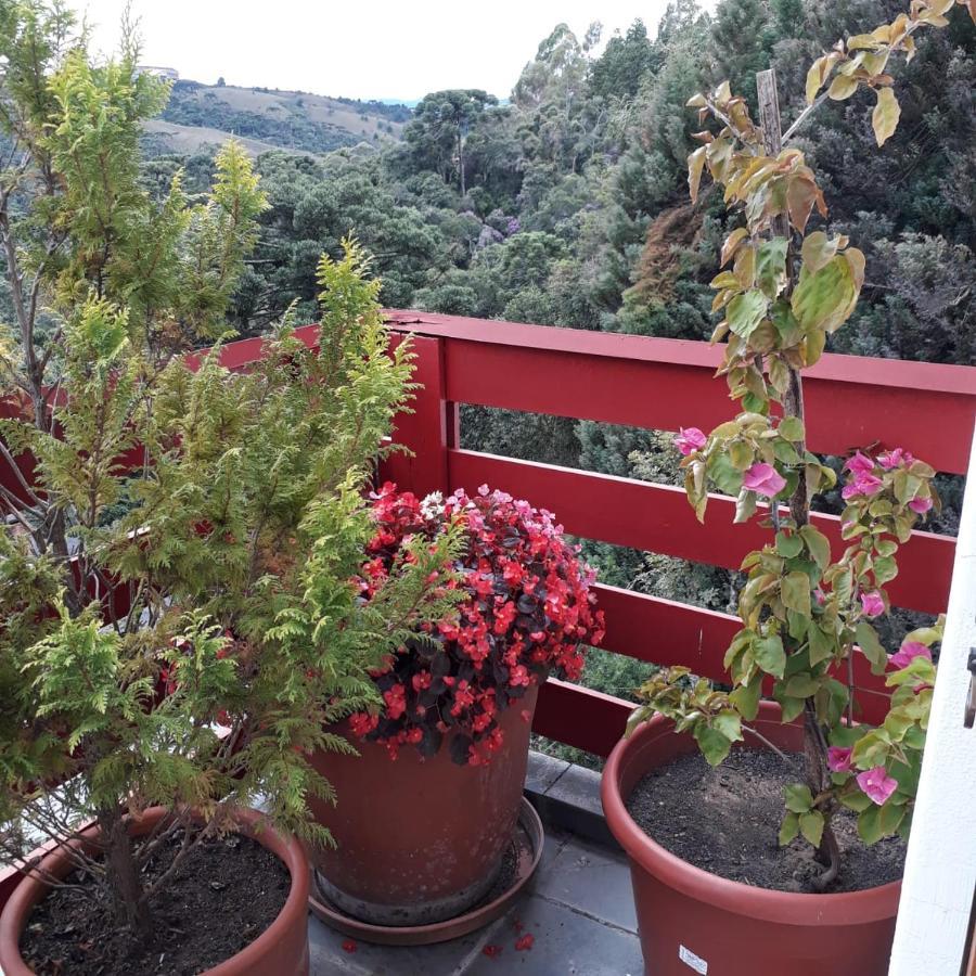 Cobertura Luxuosa De 250 M2 A 3Kms Do Centrinho Vista Espetacular Lägenhet Campos do Jordão Exteriör bild